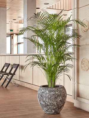 
Large, exclusive indoor/outdoor planter "Lava Balloon", various sizes - Relic Rust Metal / Ø 54 x height 50 cm