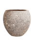 IMAGE for product variant SKU 6LAVG550M