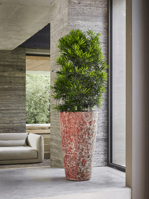 IMAGE for product variant SKU 6LAVP850P