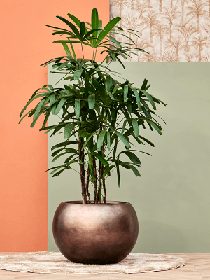 
Large flower pot "Metallic Globe", various sizes - Coffee Mat / Ø 50 x Height 37 cm