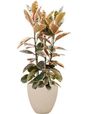 
Grosser Blumentopf „Polystone Plain Couple“, verschiedene Grössen - Beige / Ø 50 x Höhe 50 cm