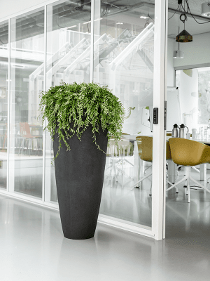
Hoher Blumentopf „Polystone Plain Partner“, verschiedene Grössen - Schwarz / Ø 50 x Höhe 120 cm