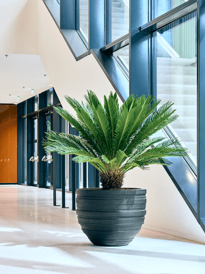 
Grosser XL In-/Outdoor Blumentopf „Polystone Coated Plain Junar“, ver. Grössen - Smoke / Ø 90 x 72 cm