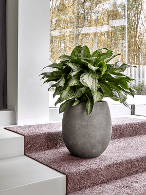 
In-/Outdoor Blumentopf „Polystone Coated Plain Balloon“, verschiedene Grössen - Grau / Ø 42 x Höhe 42 cm