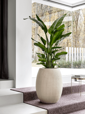 
In-/Outdoor Blumentopf „Polystone Coated Plain Balloon“, verschiedene Grössen - Beige / Ø 52 x Höhe 68 cm