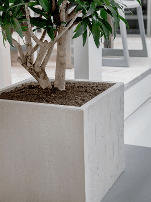 IMAGE for product variant SKU 6RDPBE249