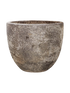 IMAGE for product variant SKU 6SANCOW01