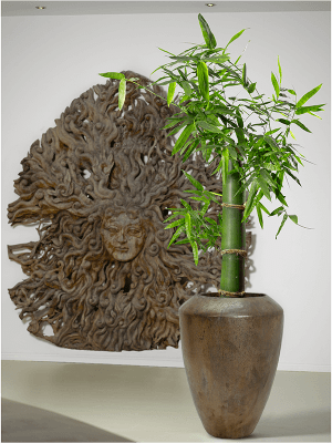 
High-quality Indoor/Outdoor Planter "Plain Coppa", various sizes - Ø 50 x Height 88 cm