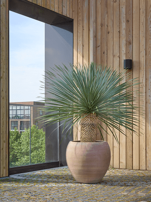 
High-quality Indoor & Outdoor Planter "Moderna Siena", various sizes - Ø 75 x Height 70 cm