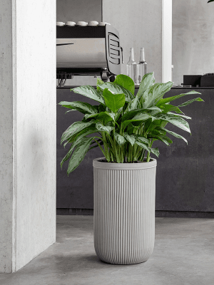 
Grosser In-/Outdoor Blumentopf „Vertical Rib“, verschiedene Grössen - Beige / Ø 37 x Höhe 57 cm
