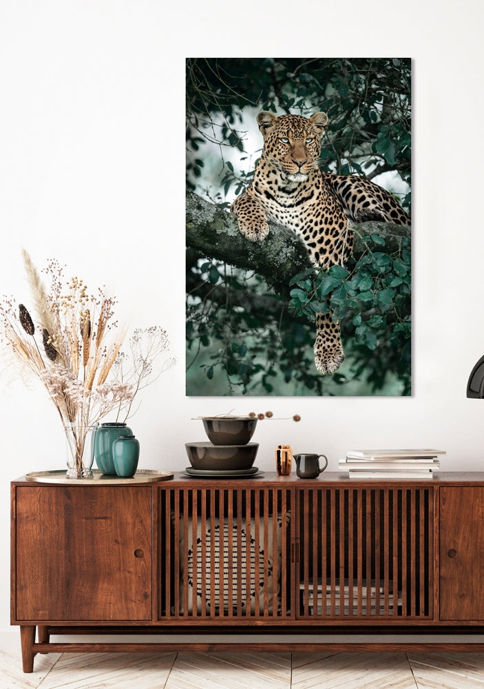 
Glasbild „Leopard im Baum“ 80 x 120 cm