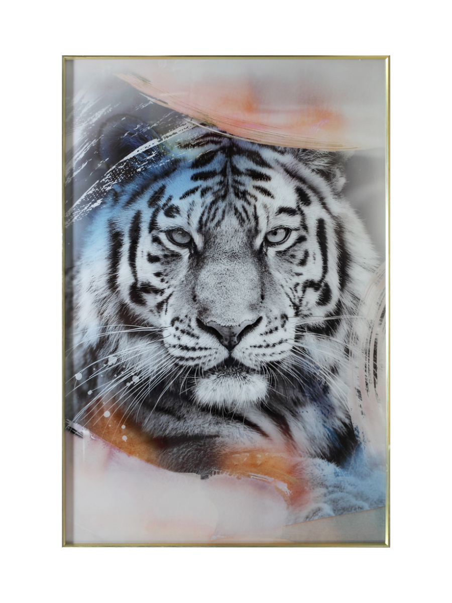 
Glasbild „Weisser Tiger“ 100 x 150 cm