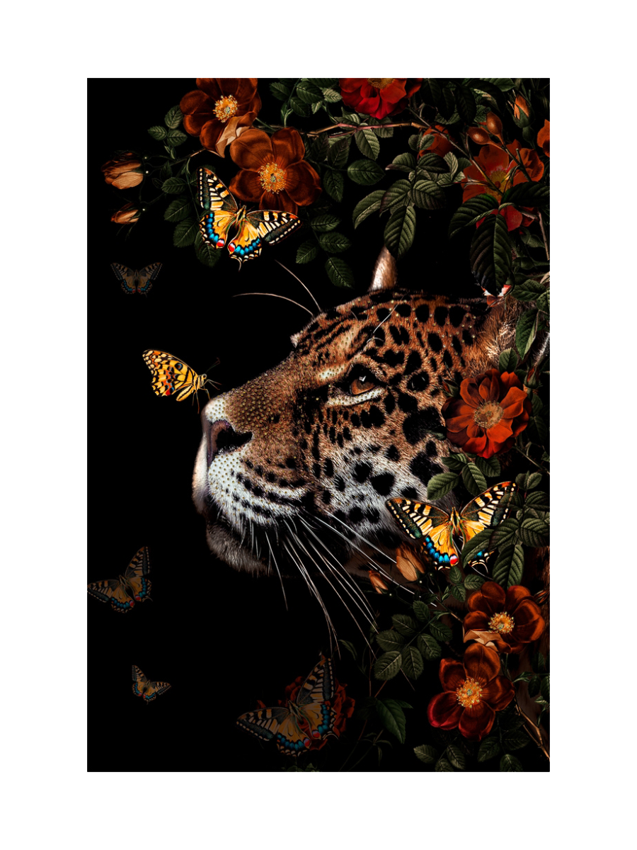 IMAGE for product variant SKU 700854