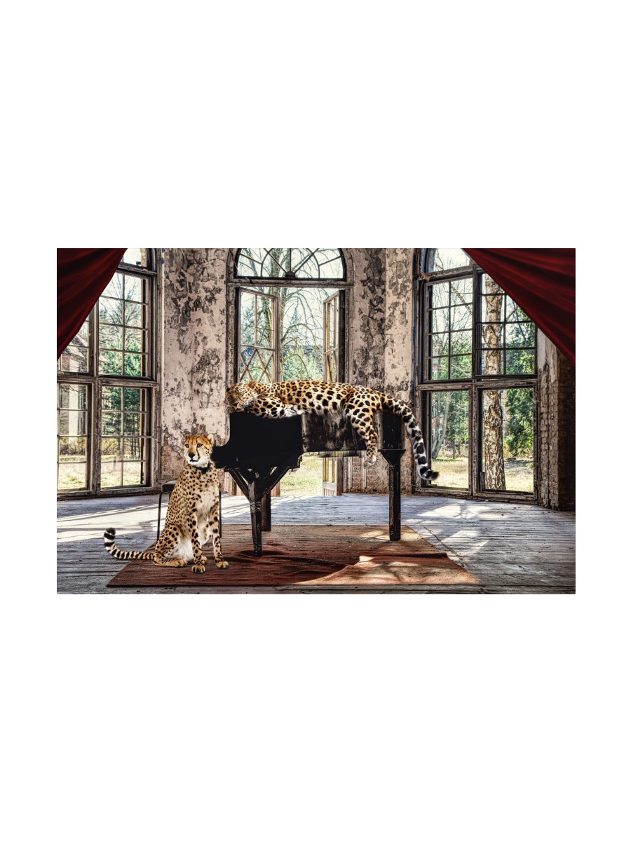 
Tableau en verre « Wild Music Cats » 80 x 120 cm