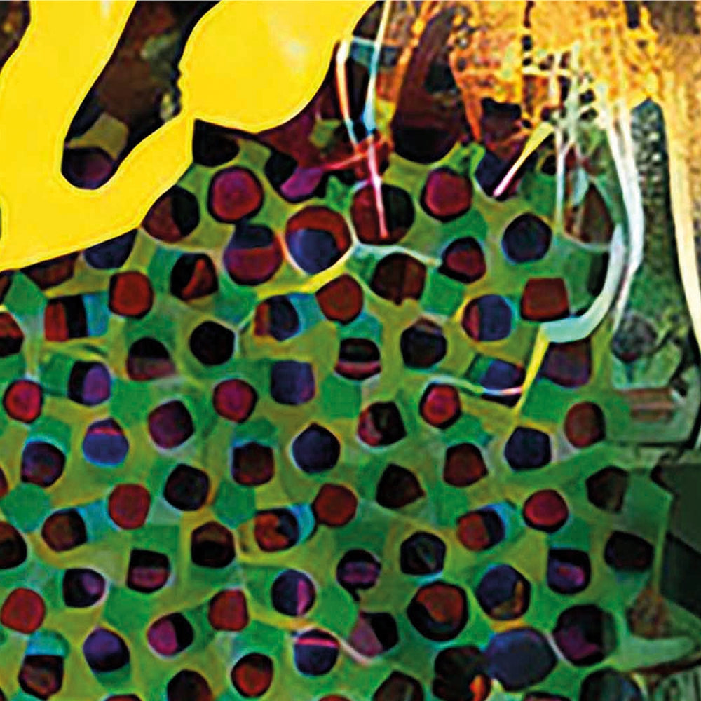 IMAGE for product variant SKU 701273