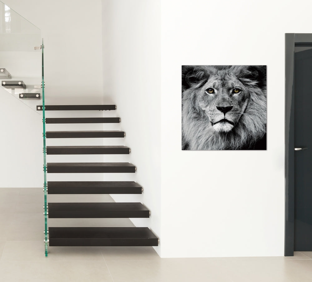 
Tableau en verre « Tête de lion » 80 x 80 cm