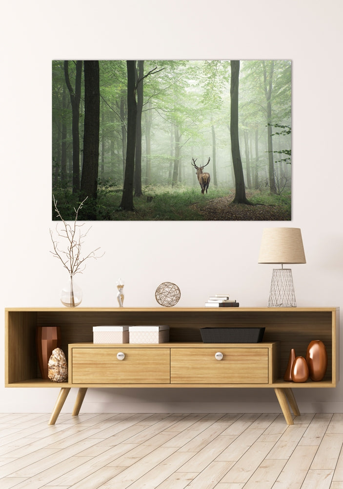 
Tableau en verre "Cerf dans la forêt matinale" 100 x 150 cm