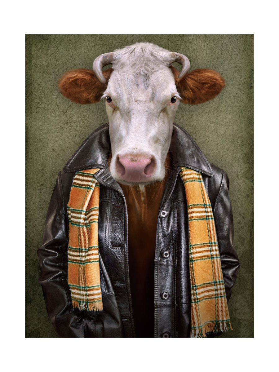 
Tableau en verre « Vache avec blouson en cuir » 60 x 80 cm