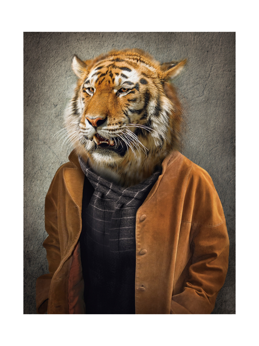 
Image sur verre « Tigre en manteau » 60 x 80 cm