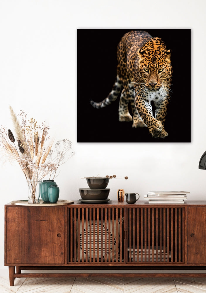 
Glasbild „schleichender Leopard“ 100 x 100 cm