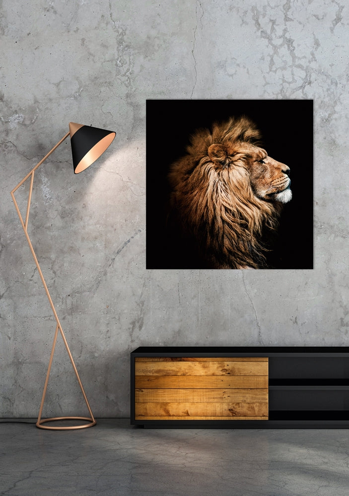 
Tableau en verre « Le Roi Lion de profil » 100 x 100 cm
