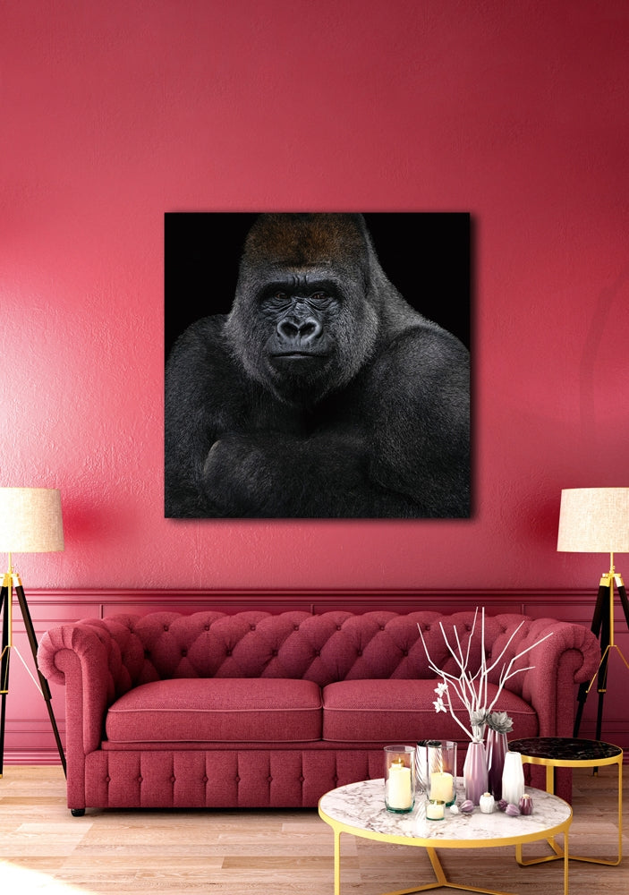 
Tableau en verre « Gorille » 100 x 100 cm