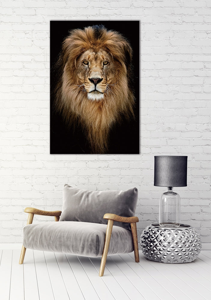 IMAGE for product variant SKU 753044