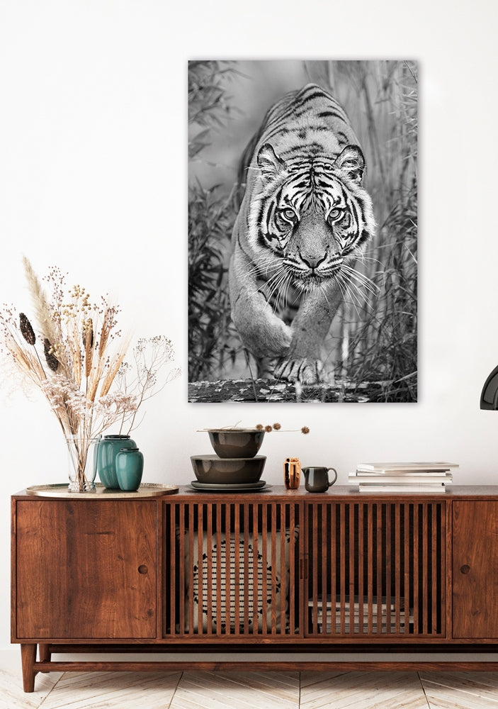 
Tableau en verre « Tigre en chasse » 80 x 120 cm