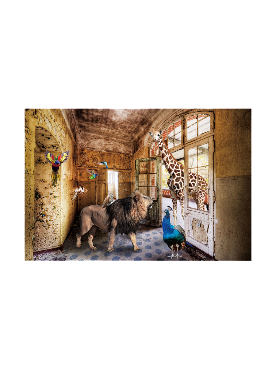 
Tableau en verre « Animaux de la jungle cherchent un foyer » 80 x 120 cm