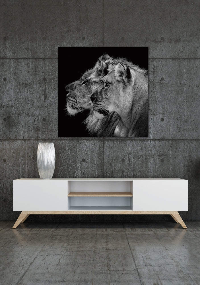 
Glasbild „Löwenpaar“ 80 x 80 cm