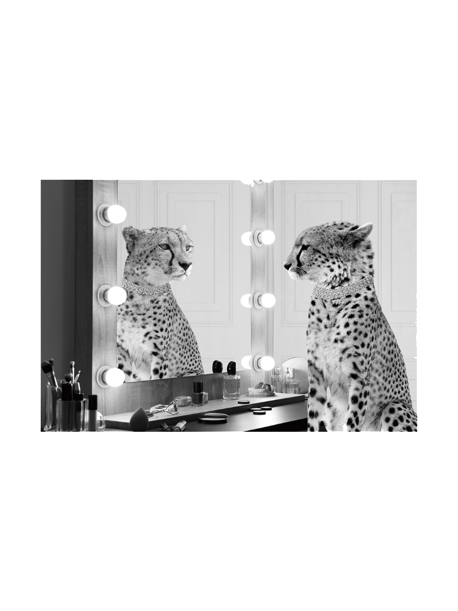
Glasbild „Gepard Starlet“ 80 x 120 cm