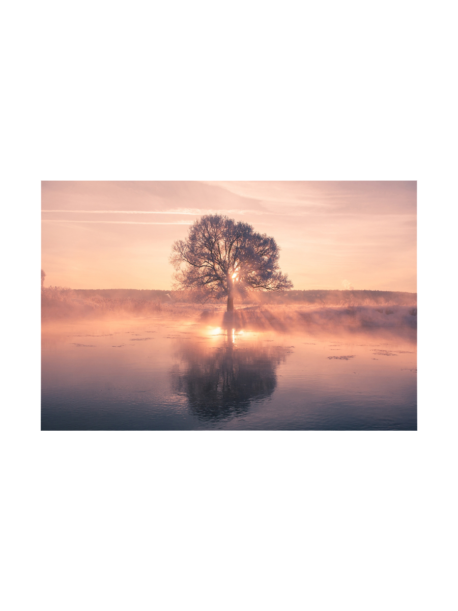 IMAGE for product variant SKU 851294