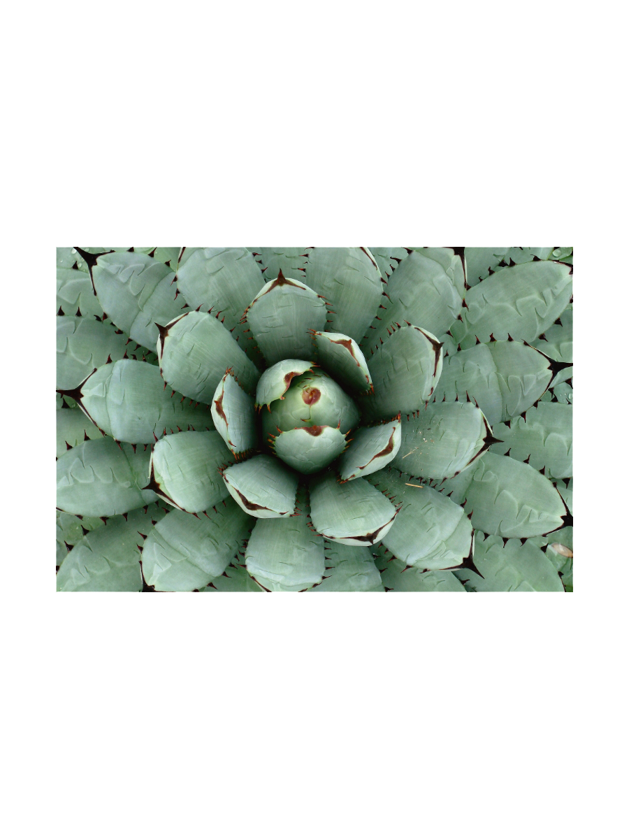 IMAGE for product variant SKU 851854