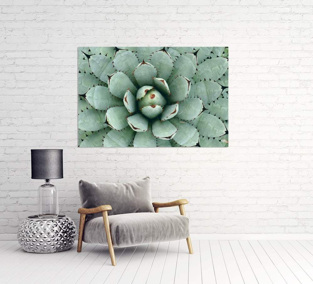 IMAGE for product variant SKU 851854