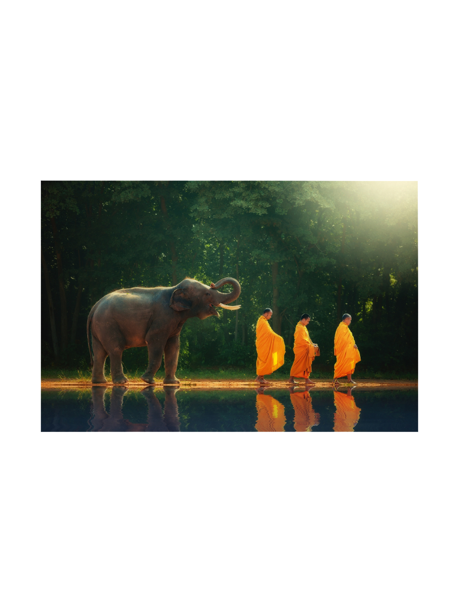 IMAGE for product variant SKU 852184