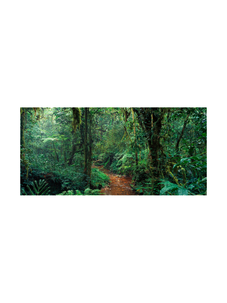 IMAGE for product variant SKU 852305