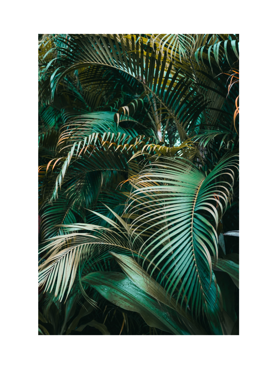 IMAGE for product variant SKU 852354