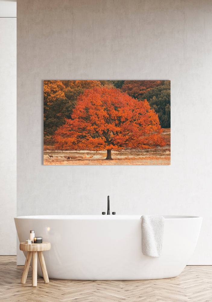 IMAGE for product variant SKU 852734