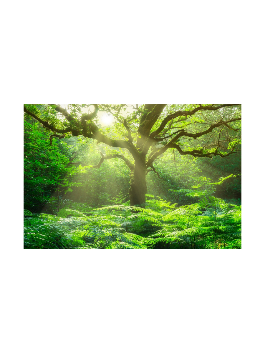 IMAGE for product variant SKU 852854