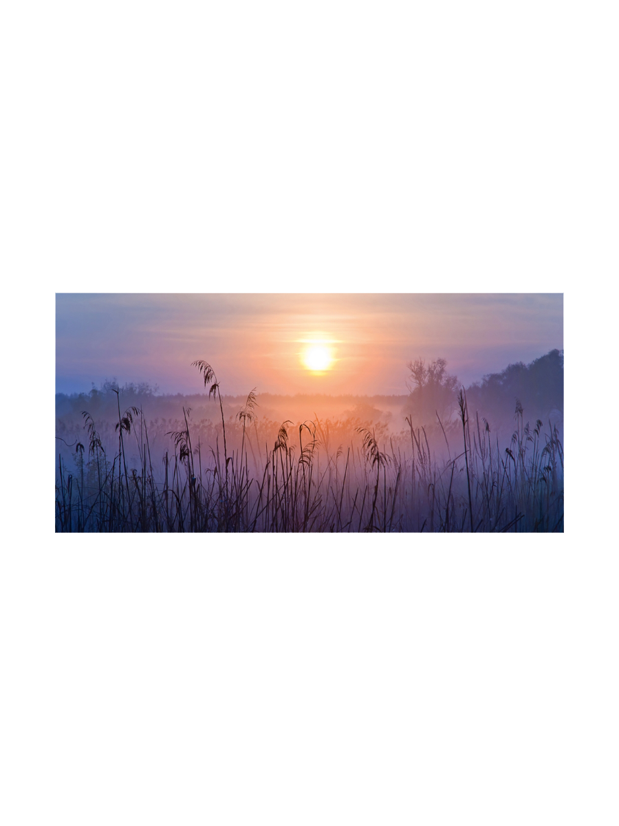 IMAGE for product variant SKU 852965