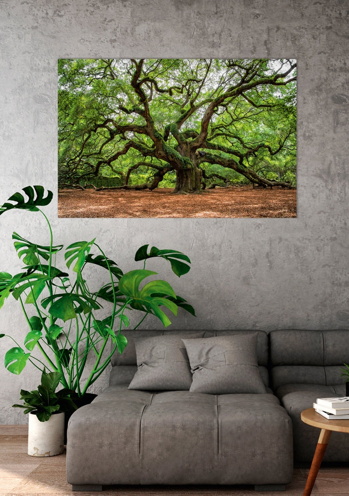 IMAGE for product variant SKU 853044