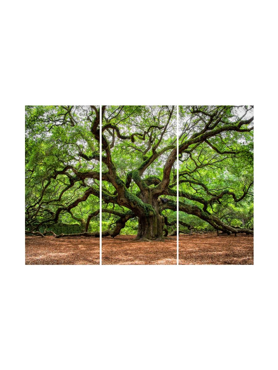 IMAGE for product variant SKU 853049