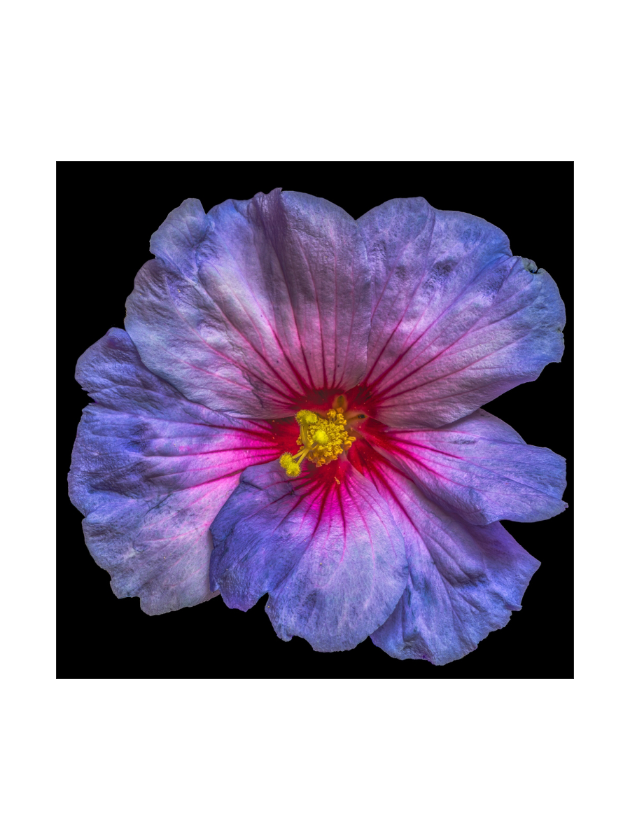 IMAGE for product variant SKU 853186