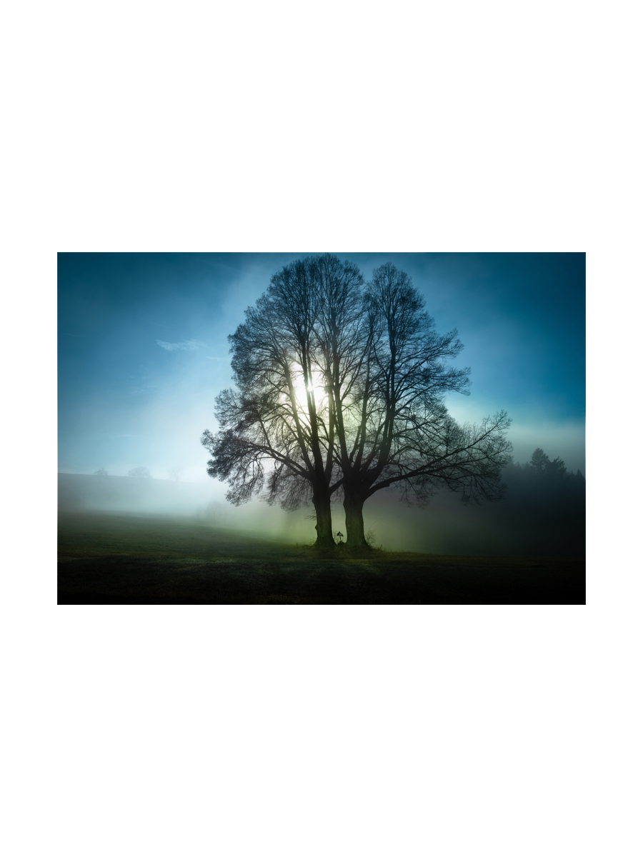 IMAGE for product variant SKU 853204