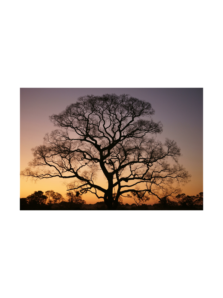 IMAGE for product variant SKU 853294