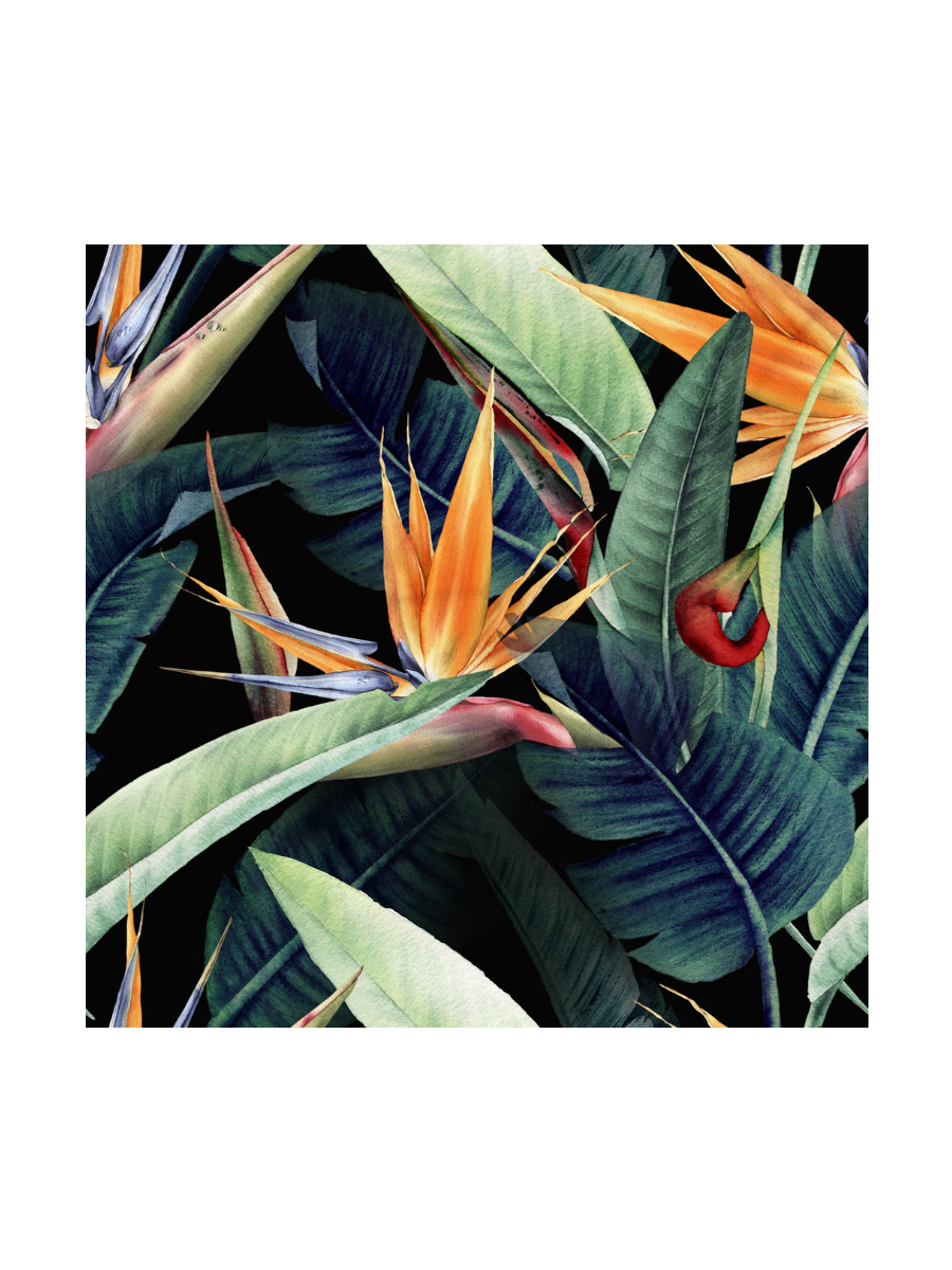 IMAGE for product variant SKU 853776