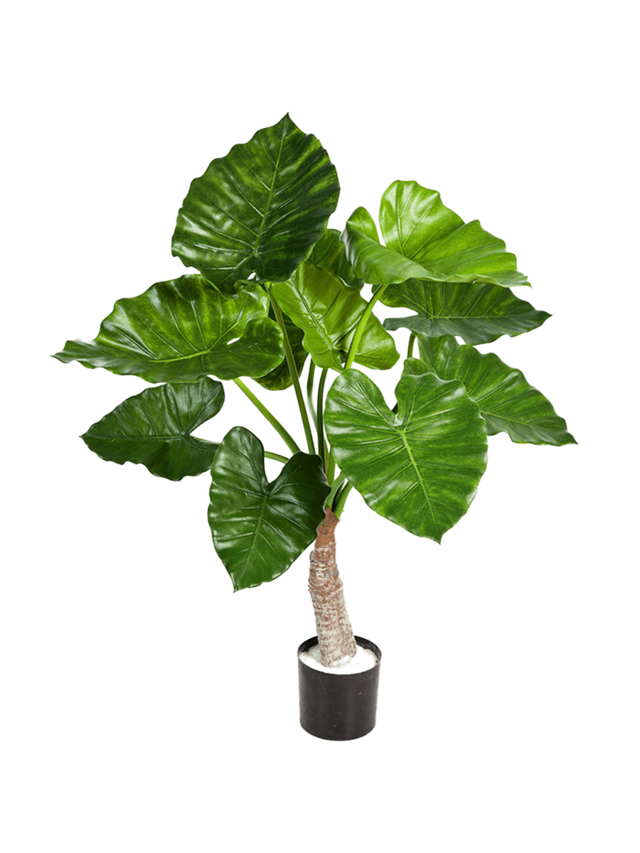 
Plante artificielle réaliste "Alocasia Calidora", hauteur 80 cm