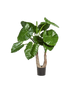 IMAGE for product variant SKU 8ALCATU20