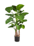 IMAGE for product variant SKU 8ALCATU30