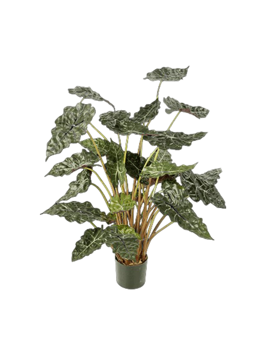 
Pianta artificiale dall'aspetto realistico «Alcosia Bush», Ø 100 x 110 cm